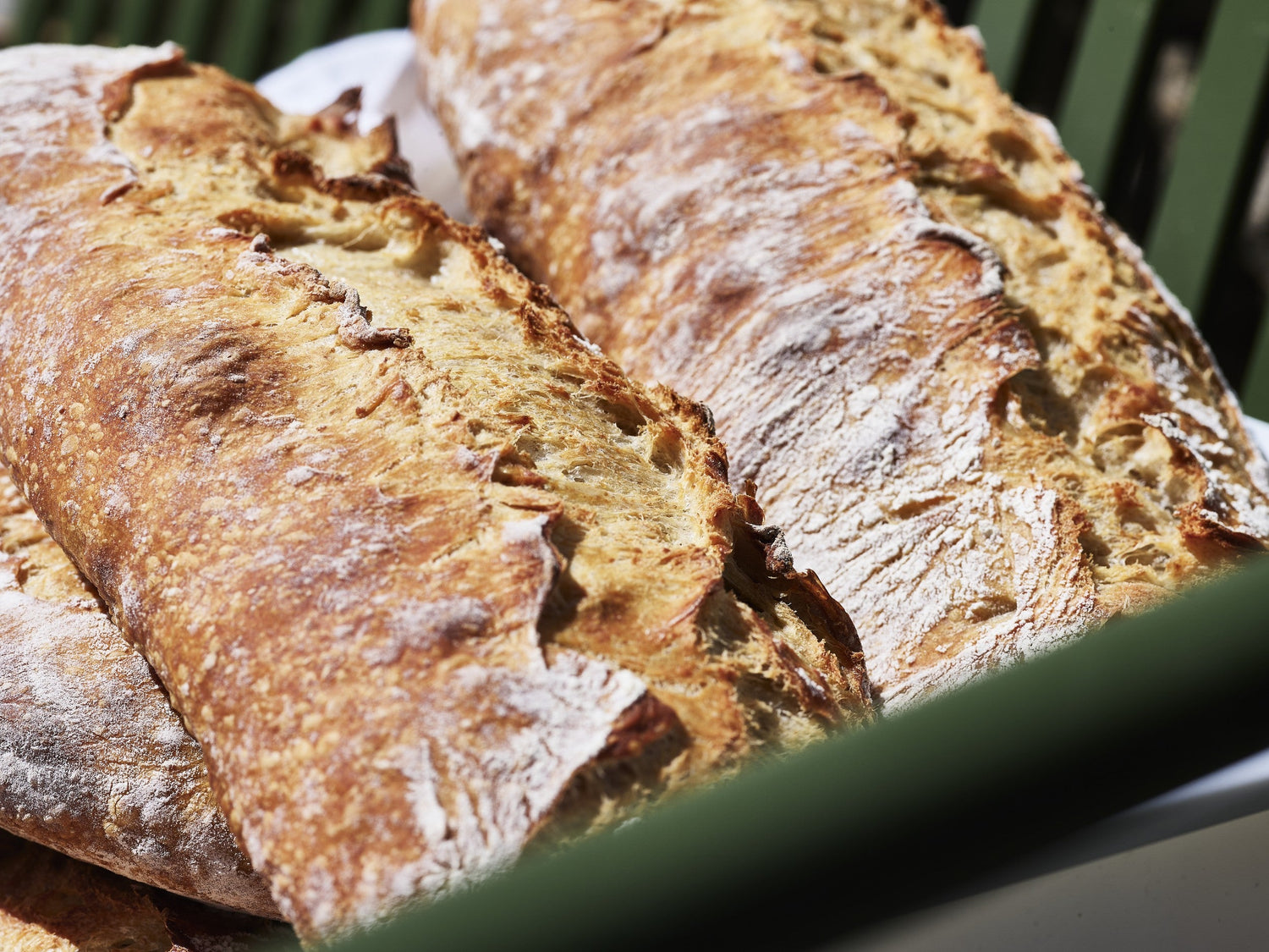 Bread